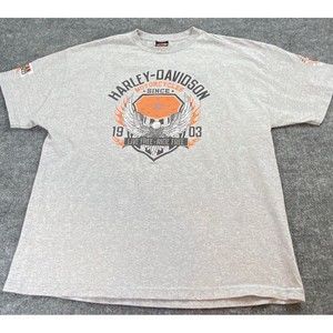 Vintage Harley‎ Davidson T Shirt Adult 2XLarge Gray Orange Appalachian PA Biker